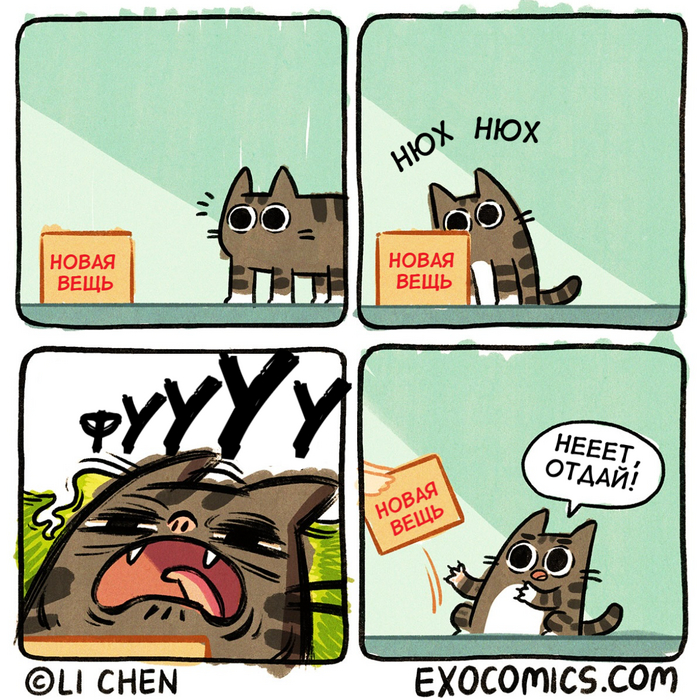 Кошачья логика