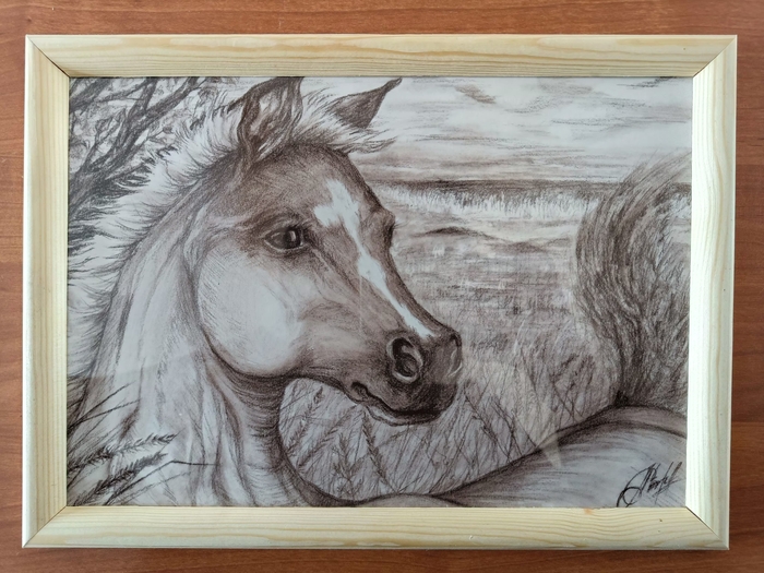 Дорооболорун! "Кулунчук" (жеребёнок), первая работа сепией. Ваше мнение?