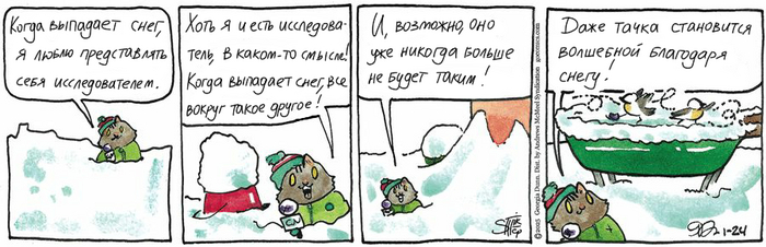 Котейкины Новости от 24.01.2025