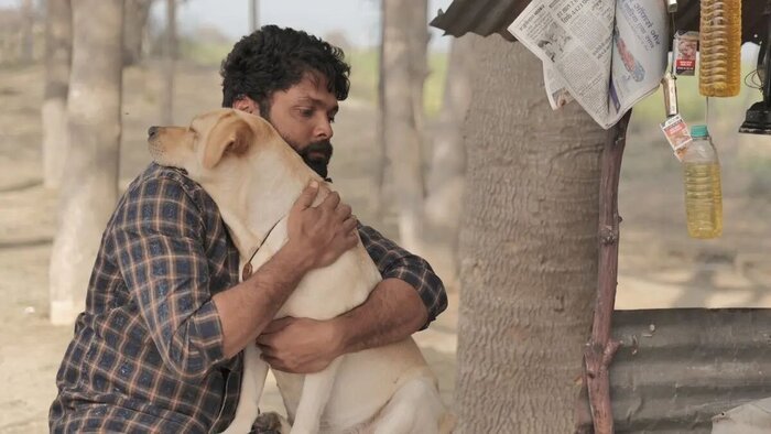  "���� �������, � ��� �������� ������, ������� ���� ������ � ��� �������."