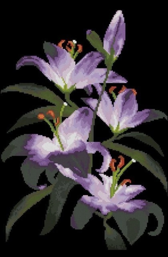    "  "  ,  , , ,  , 