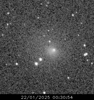  40. NGC2264. ,    ,  , , , ,  , ,  , , , 