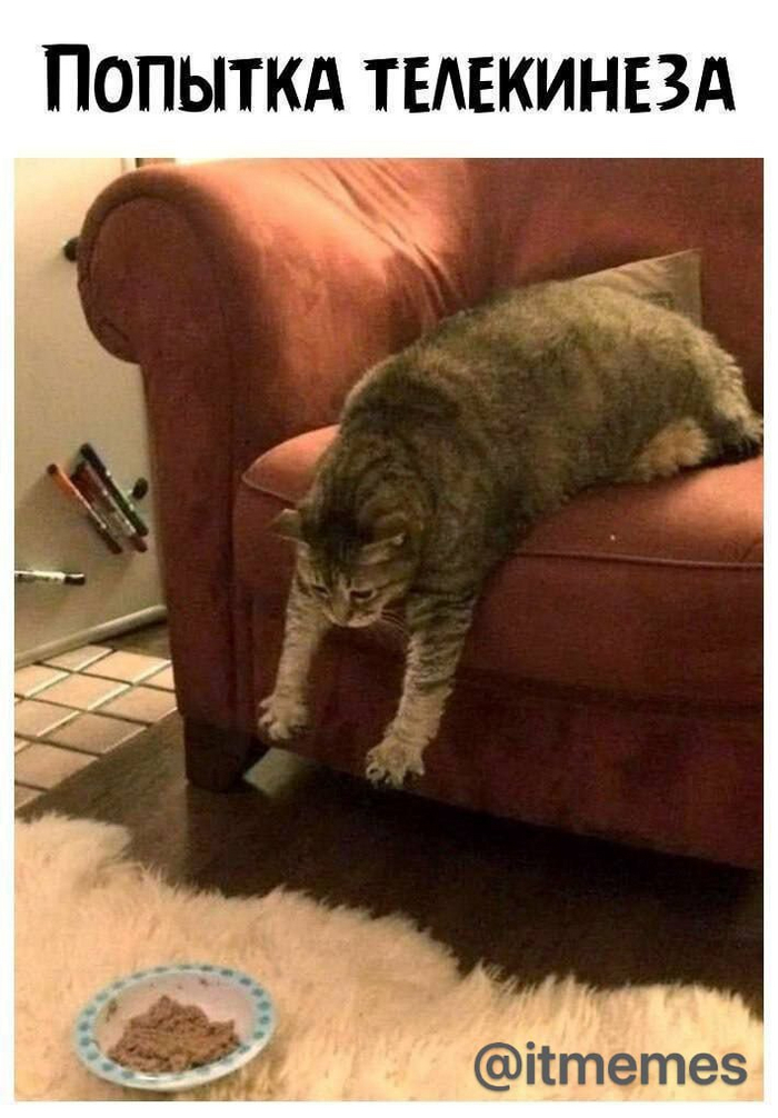 ���������� ����� ����)