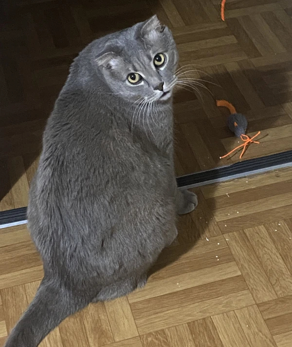    , ,  ,  ,  