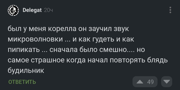 ��������...