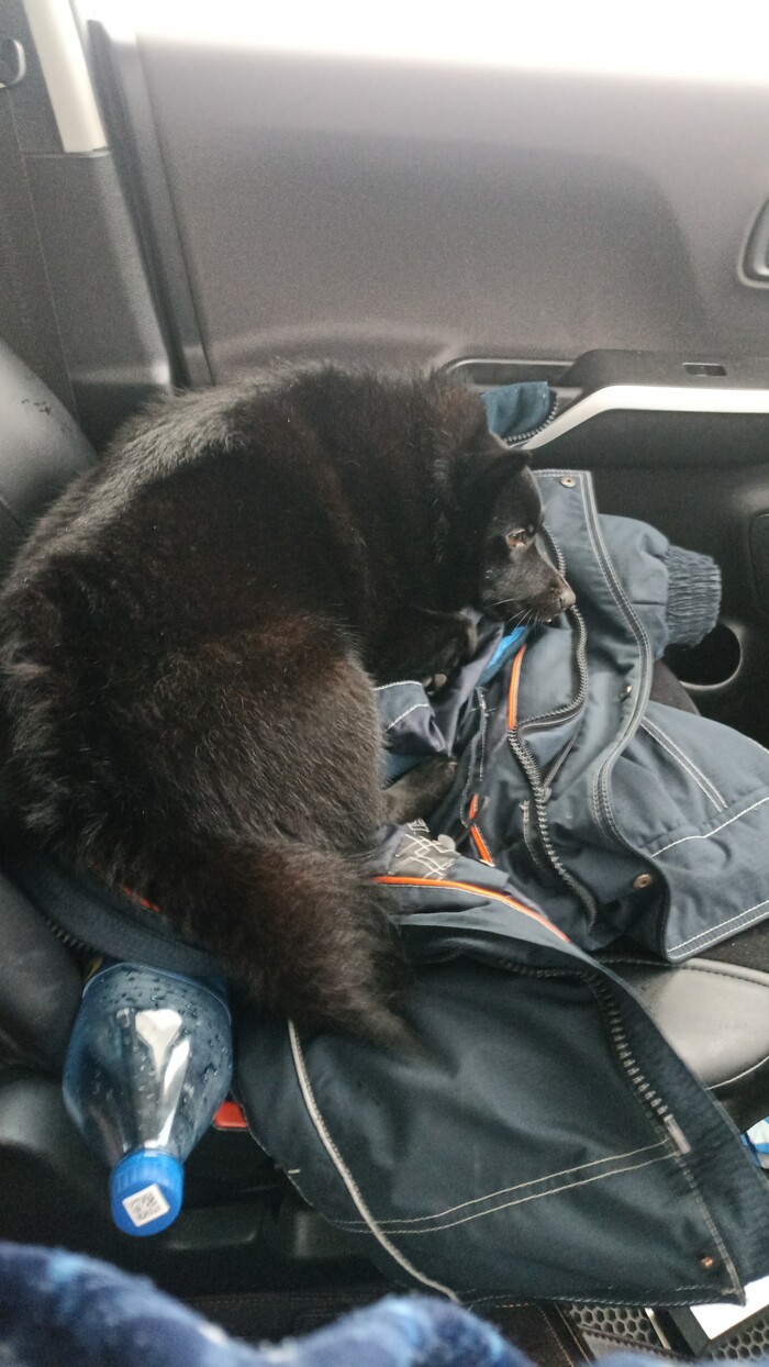 Дорога домой