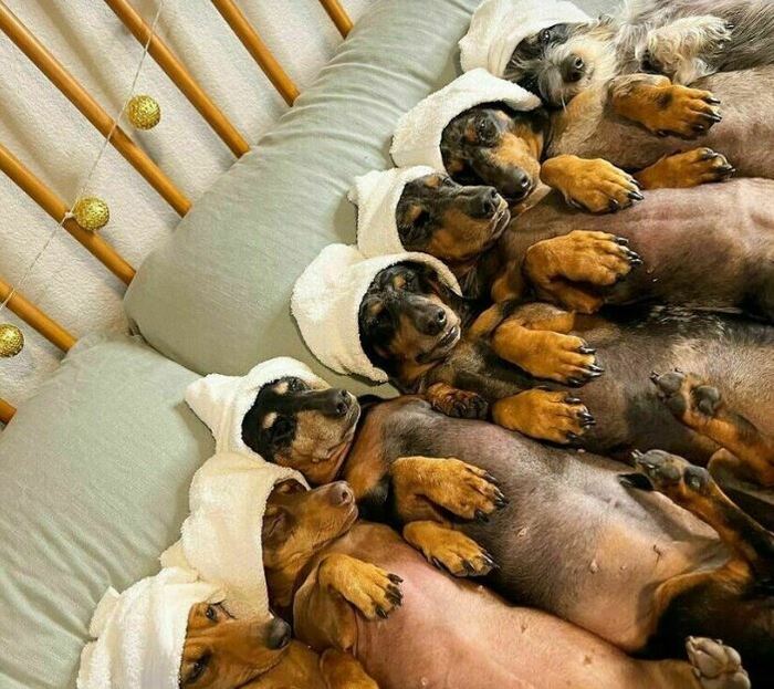 Порция милоты в ленту:):)