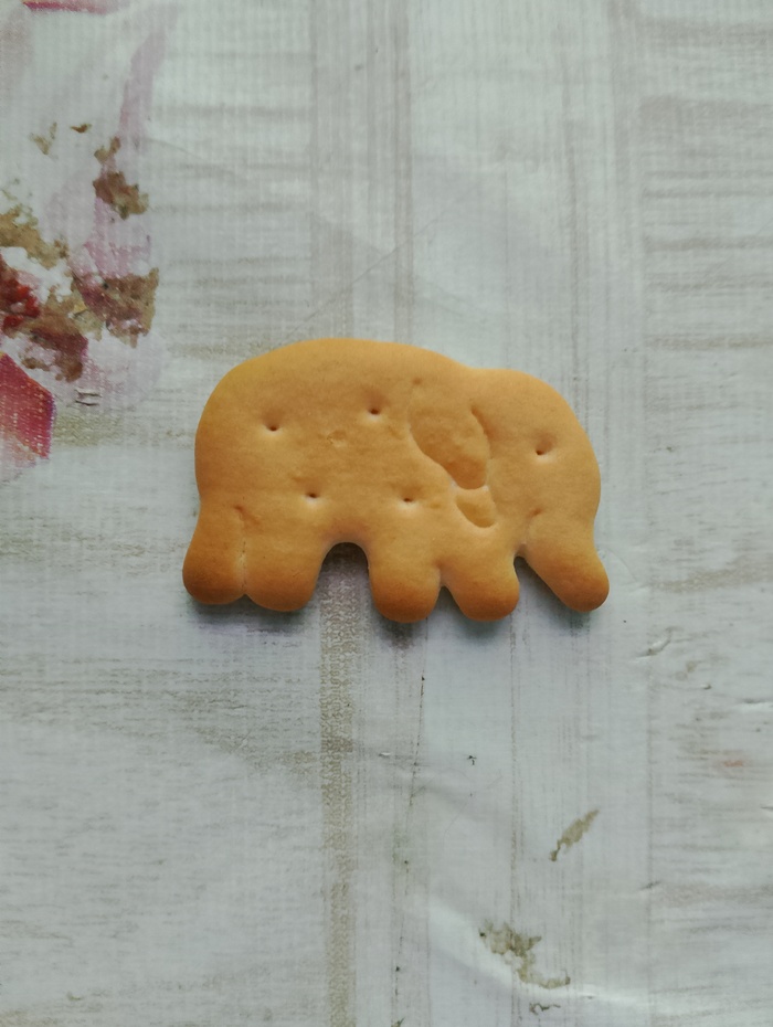 Наш слоняра