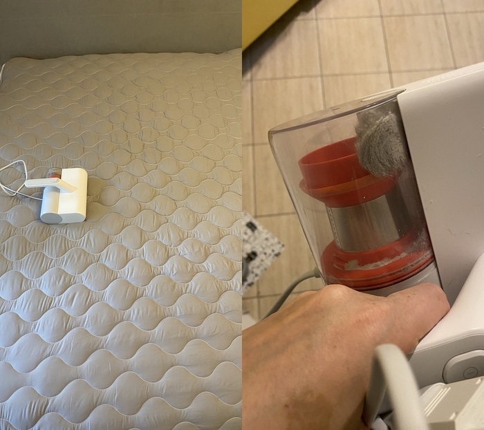 Пыль и клещи собраны