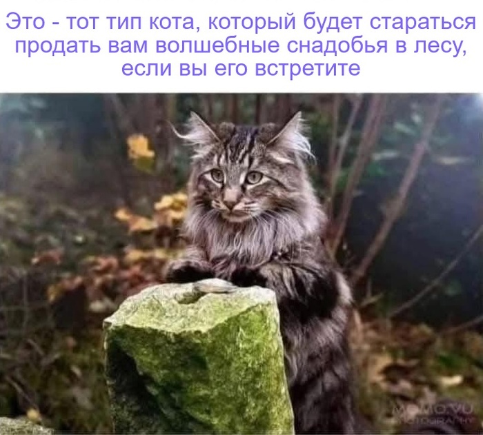 . . )