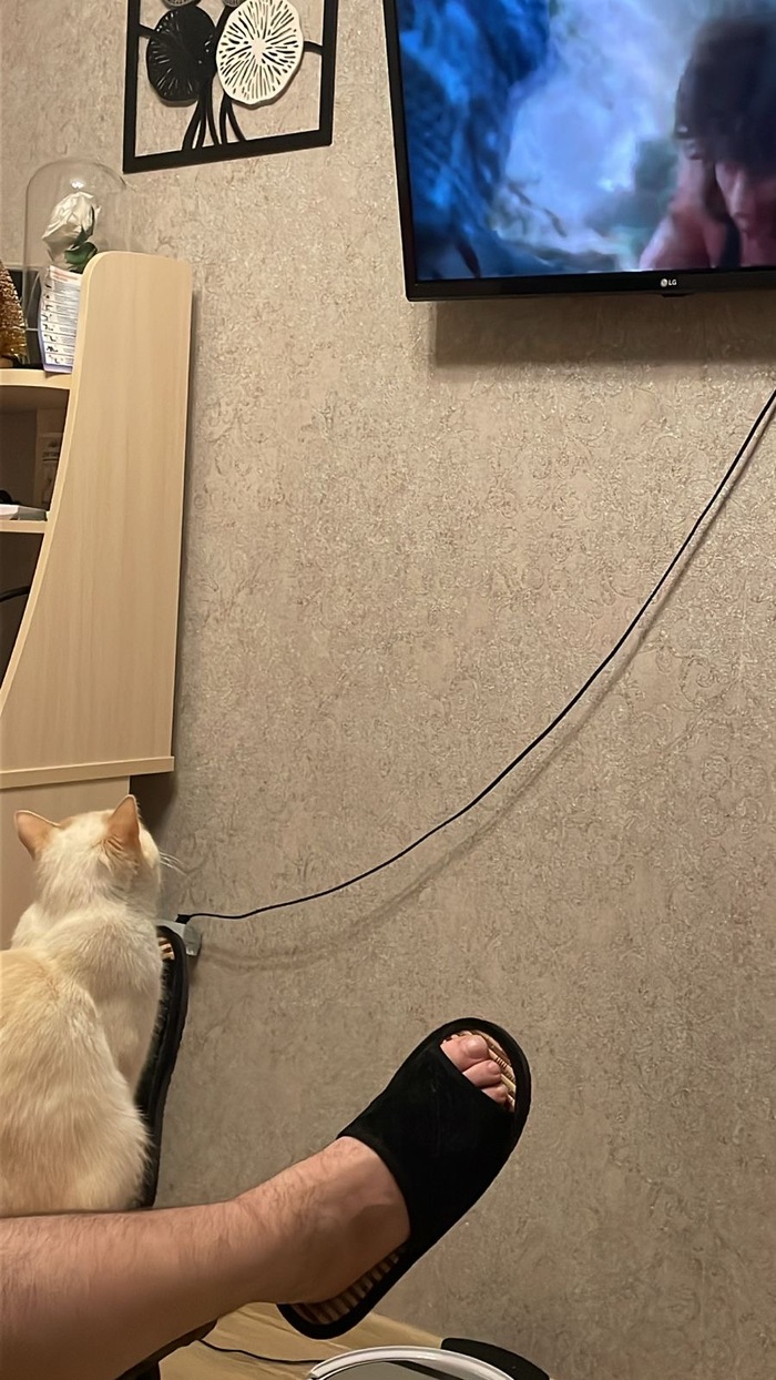  , , ,   2, 