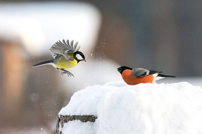 :  <a href="https://pikabu.ru/story/tolko_poprobuy_12294386?u=https%3A%2F%2Frtraveler.ru%2Fphoto%2F1473433%2F%3Feditorial_photos%3D1&t=%D0%BE%D1%82%D1%81%D1%8E%D0%B4%D0%B0&h=732b5731d27490d3ccbea7ad52033e8cbfdd4476" title="https://rtraveler.ru/photo/1473433/?editorial_photos=1" target="_blank" rel="nofollow noopener"> </a>