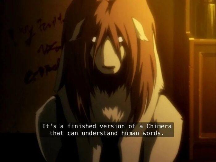     ,           ... Fullmetal Alchemist, , ,  , , Nina Tucker,   