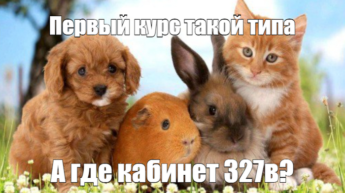 С днём студента, утята!