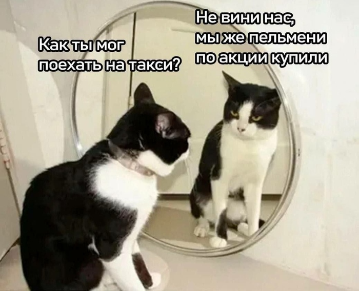   -  ,        ?