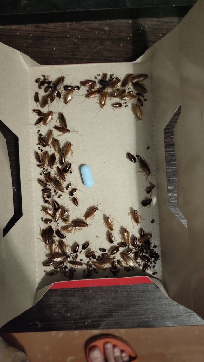  , , , ,   , 