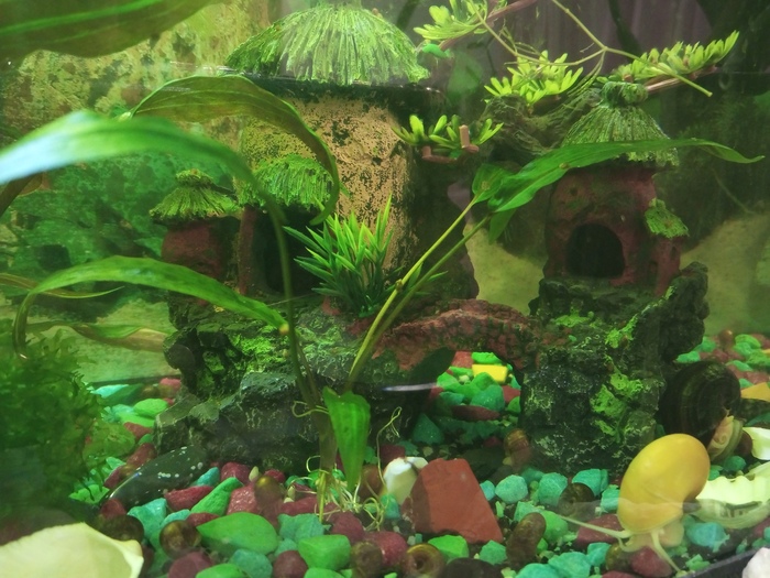 Застряла над мостиком