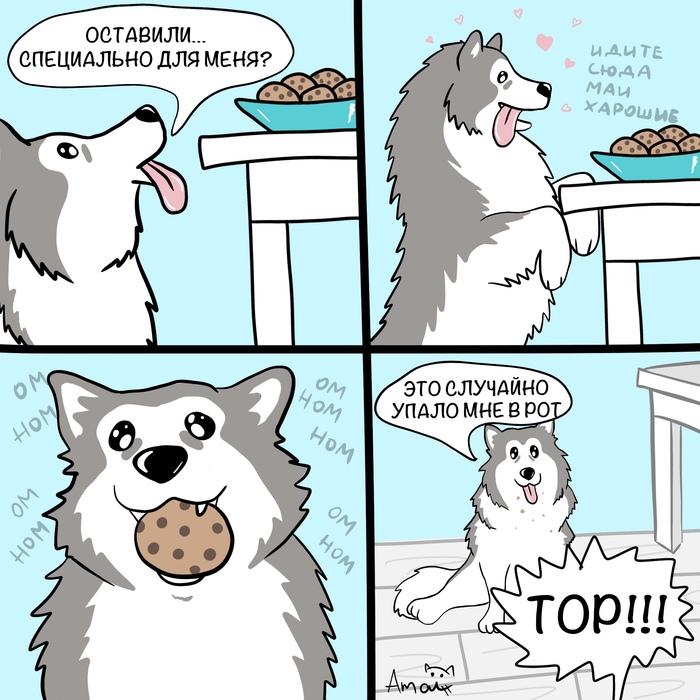 Печеньки. Все ситуации выдуманные, все совпадения случайны