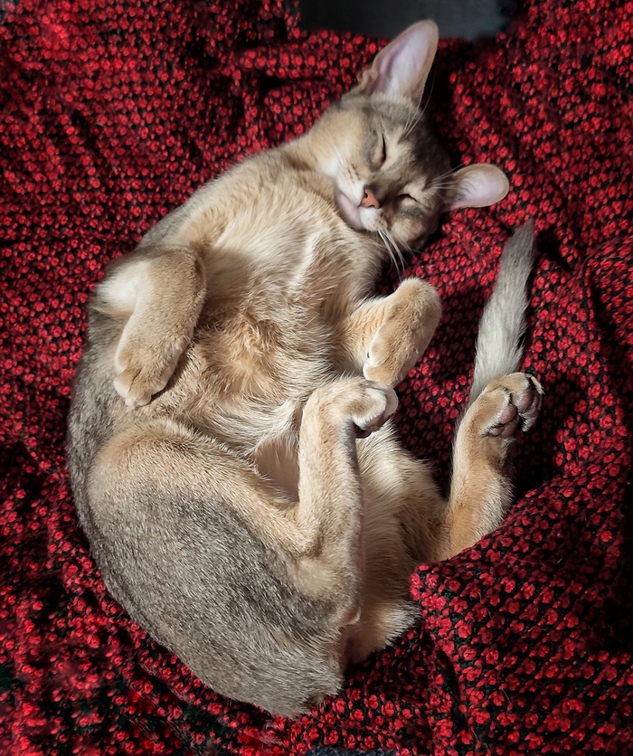  ,  , , , ,  