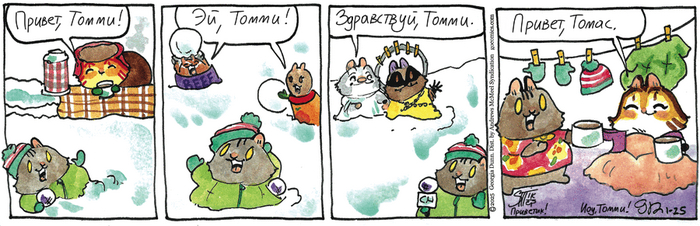 Котейкины Новости от 25.01.2025