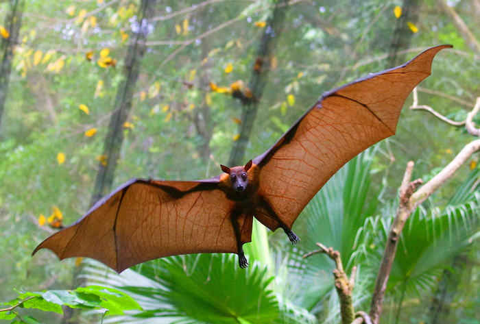 Хьюстон, у нас проблемы! На нашем борту перегруз, нужна экстренная эвакуация!