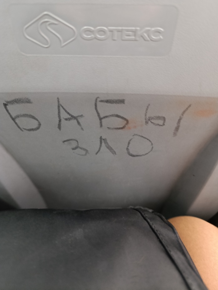 Мое место в автобусе показало мне интересную картину, ваше мнение в комментариях