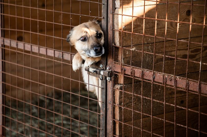 Когда бабушка подарила тебе 5000, но мама забрала их себе и сказала, что отдаст потом.