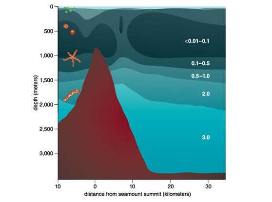 Зона кислородного минимума: Мёртвая вода в океане. 99% морских животных погибает здесь за минуты Океан, Морские обитатели, Кислородное голодание, Животные, Дикие животные, Яндекс Дзен, Яндекс Дзен (ссылка), Длиннопост, Мертвая вода Зона кислородного минимума: Мёртвая вода в океане. 99% морских животных погибает здесь за минуты Океан, Морские обитатели, Кислородное голодание, Животные, Дикие животные, Яндекс Дзен, Яндекс Дзен (ссылка), Длиннопост, Мертвая вода