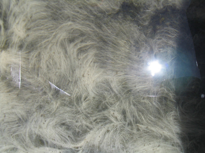 Зона кислородного минимума: Мёртвая вода в океане. 99% морских животных погибает здесь за минуты Океан, Морские обитатели, Кислородное голодание, Животные, Дикие животные, Яндекс Дзен, Яндекс Дзен (ссылка), Длиннопост, Мертвая вода Зона кислородного минимума: Мёртвая вода в океане. 99% морских животных погибает здесь за минуты Океан, Морские обитатели, Кислородное голодание, Животные, Дикие животные, Яндекс Дзен, Яндекс Дзен (ссылка), Длиннопост, Мертвая вода