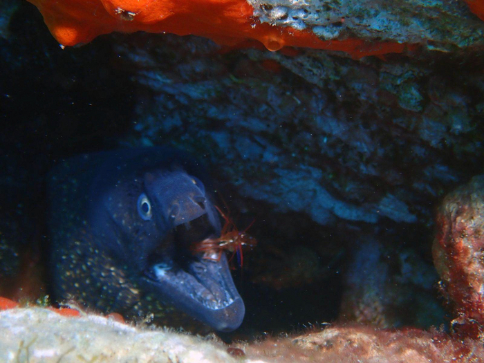  ,  ,  .  ,   5 .    ?    !