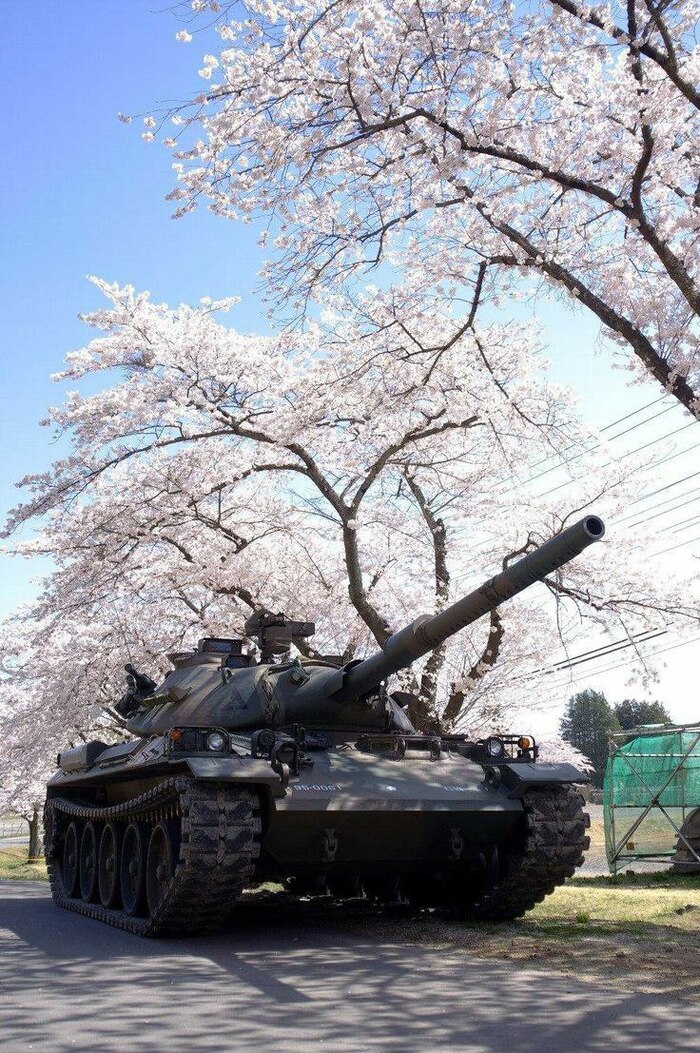 Type 74 -   , , , 