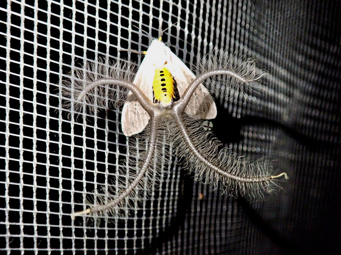 Ты на свидание пришел, или куда? Почему не побрился?!