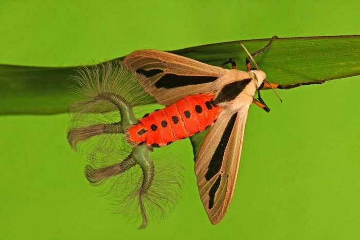 Мда, с такими корематами тебе точно ничего не светит...