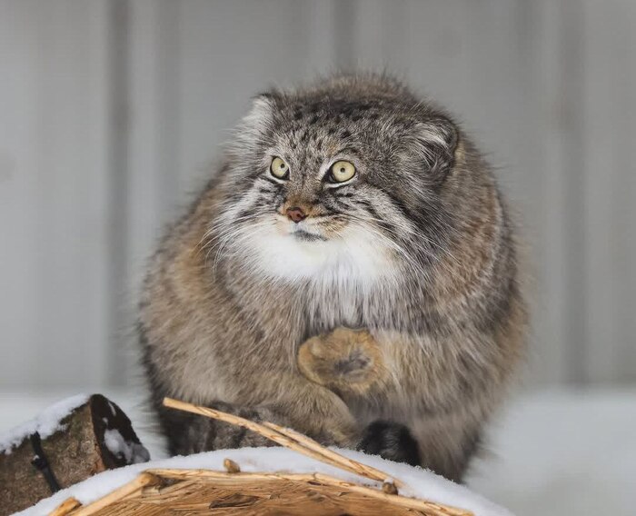 А чего так мало?