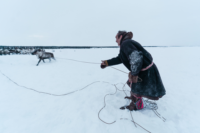  : <a href="https://pikabu.ru/story/syiraya_olenina_lichinka_ovoda_i_prochie_lakomstva_severnyikh_kochevnikov_12296006?u=https%3A%2F%2Ft.me%2F%2BT7rd0-uh9vlmYjZi&t=%D0%90%D0%BB%D0%B5%D0%BA%D1%81%D0%B0%D0%BD%D0%B4%D1%80%20%D0%9C%D0%B0%D0%B7%D1%83%D1%80%D0%BE%D0%B2&h=ccdb8684db8266535715a60ec5adb4ce46426c1c" title="https://t.me/+T7rd0-uh9vlmYjZi" target="_blank" rel="nofollow noopener"> </a>