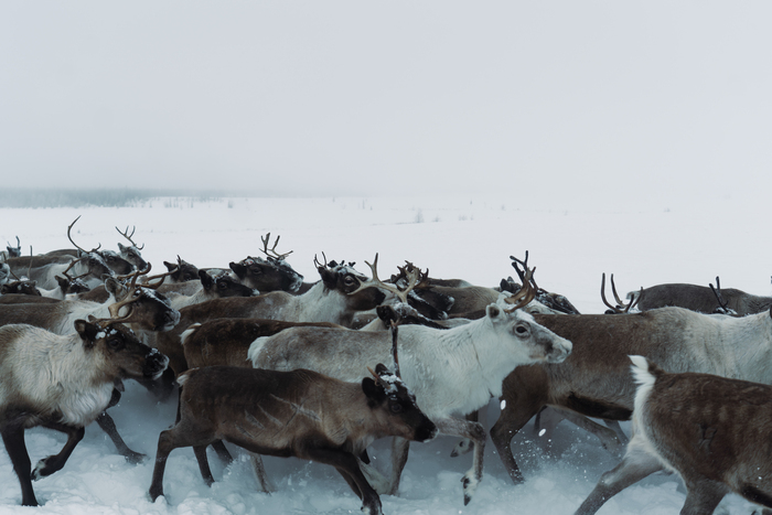  : <a href="https://pikabu.ru/story/syiraya_olenina_lichinka_ovoda_i_prochie_lakomstva_severnyikh_kochevnikov_12296006?u=https%3A%2F%2Ft.me%2F%2BT7rd0-uh9vlmYjZi&t=%D0%90%D0%BB%D0%B5%D0%BA%D1%81%D0%B0%D0%BD%D0%B4%D1%80%20%D0%9C%D0%B0%D0%B7%D1%83%D1%80%D0%BE%D0%B2&h=ccdb8684db8266535715a60ec5adb4ce46426c1c" title="https://t.me/+T7rd0-uh9vlmYjZi" target="_blank" rel="nofollow noopener"> </a>