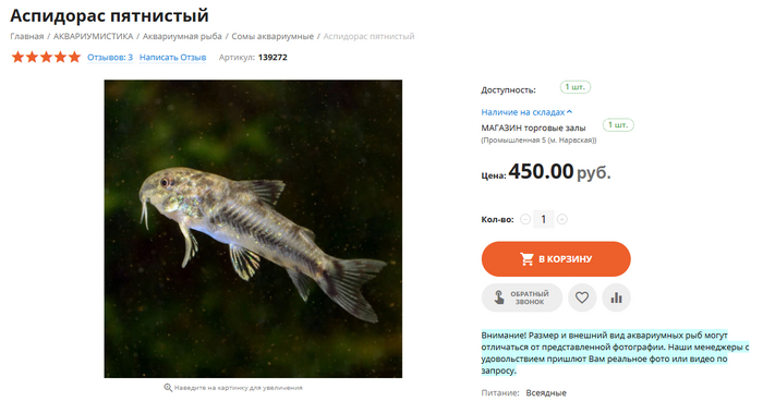 ���� �����