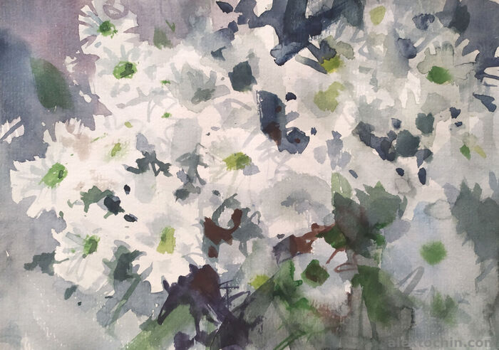 ,   , , , 15/20 ., 2025 .