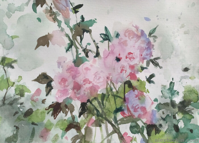 ,   , , , 15/20 ., 2025 .