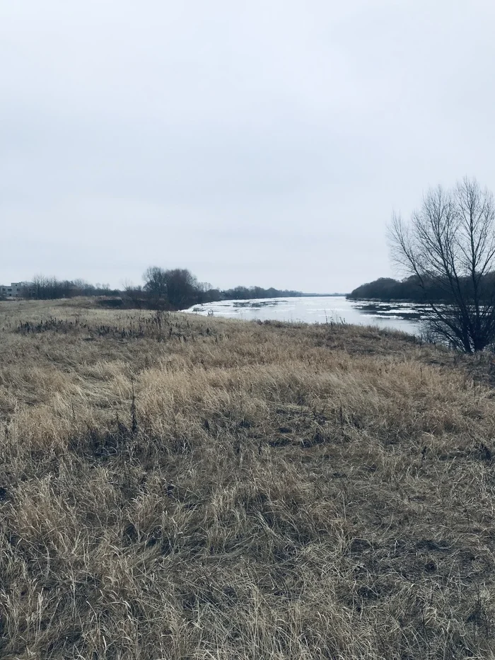 Ответ на пост «Конкурс зимних фотографий на Пикабу» Новый Год, Пикабу, Конкурс, Спрятано в 2024, Фотография, Волна постов, Ответ на пост, Длиннопост