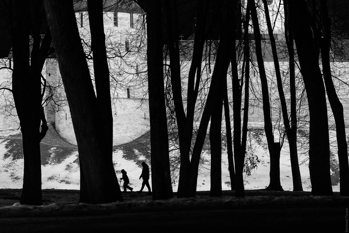 Великий Новгород, январь 2025г