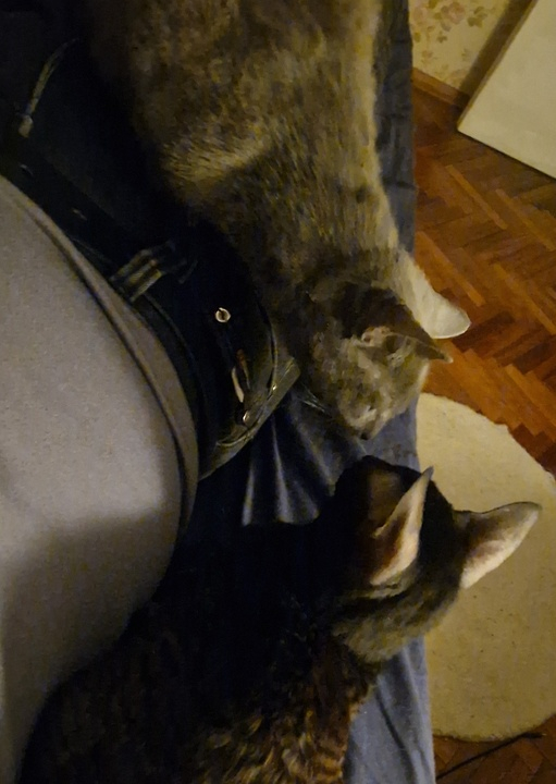 Консилиум после проведения лечения, обсуждение предварительных результатов