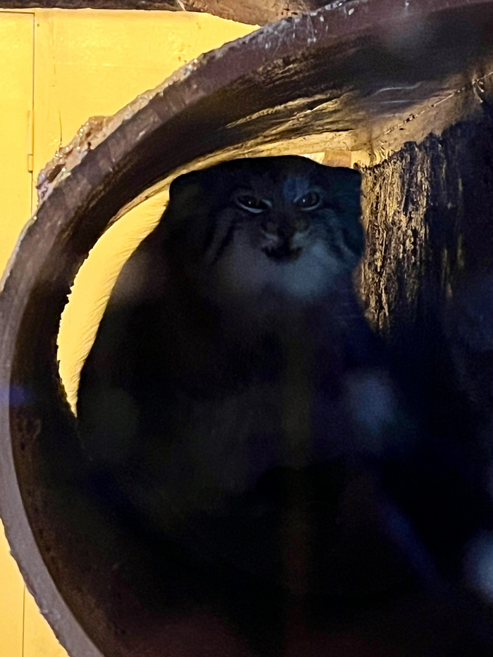 Хе-хе-хе..время для страшных историй...