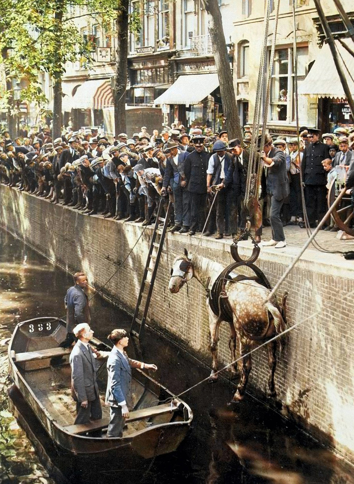 Осколки истории : Интересные и редкие ретро-фотографии Европы. 20 раскрашенных фотографий ХХ века. Часть XV Старое фото, Историческое фото, Фотография, Европа, Греция, Германия, Италия, Испания, Швейцария, Нидерланды (Голландия), Норвегия, 20 век, Колоризация, Длиннопост