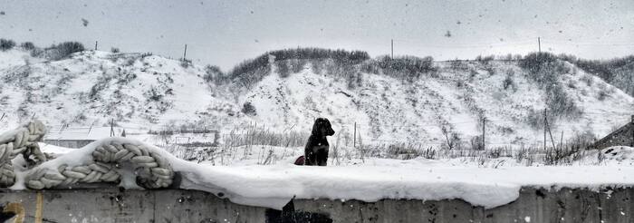 �����������