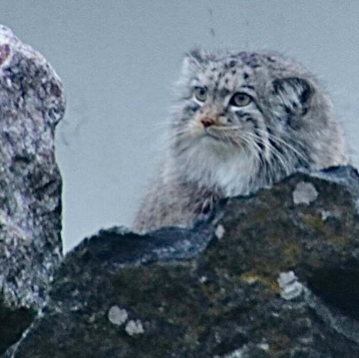 ,   ?  ,  ,  ,  , , , 