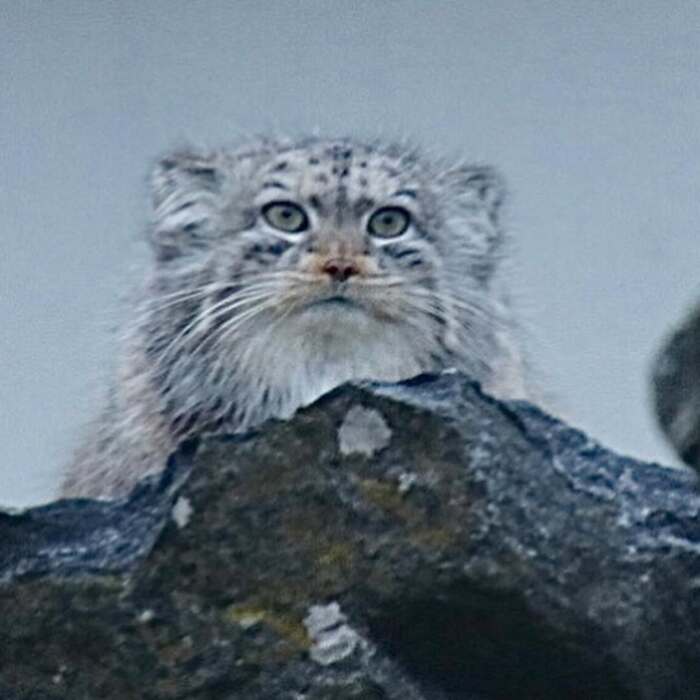 ,   ?  ,  ,  ,  , , , 
