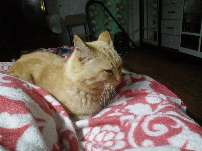 ������ ���������� 