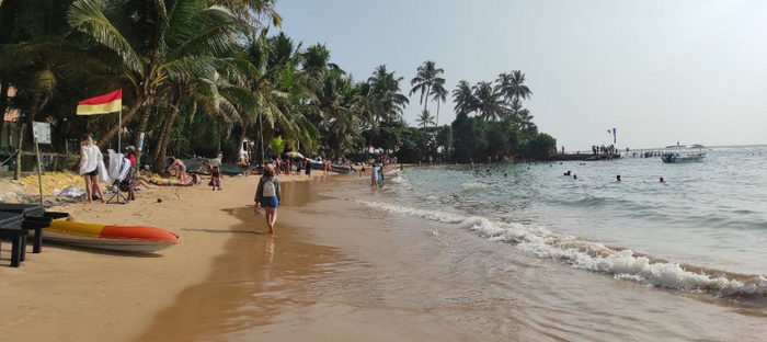 ������� �� 12 ��� � �������� ��������� �� �������. 2024 ���.