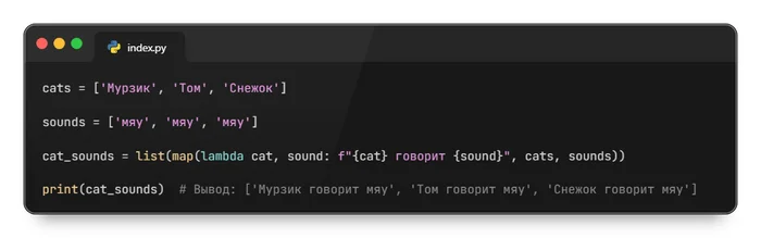 Cats on the map: how the map function helps us manage data like a clever cat - My, Programming, Education, Python, The code, Function, Cards, cat, Longpost